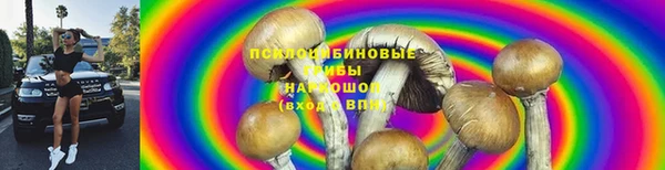 спайс Костерёво