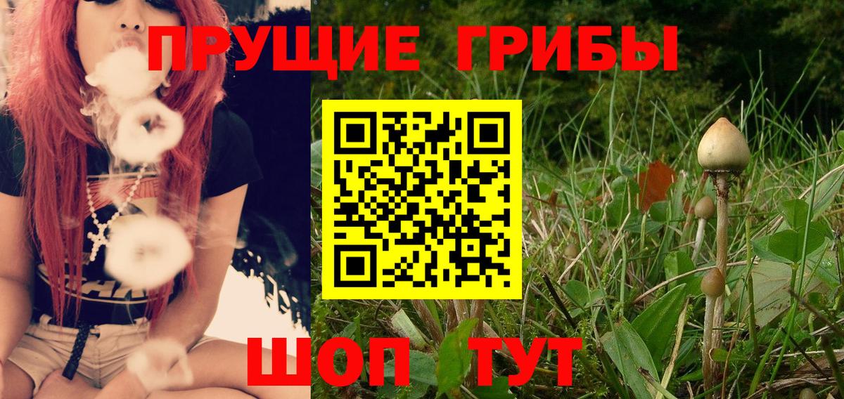 Лобня  наркота  Галлюциногенные грибы ЛСД  Вход с VPN  Галлюциногенные грибы Cubensis 