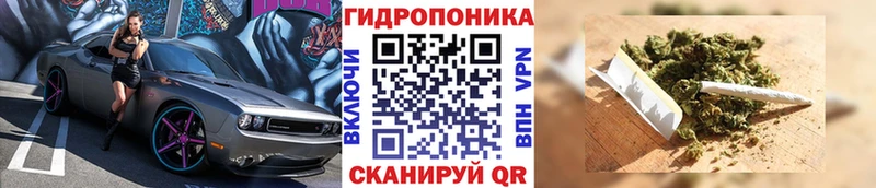 Конопля ГИДРОПОН  где можно купить   Лобня 